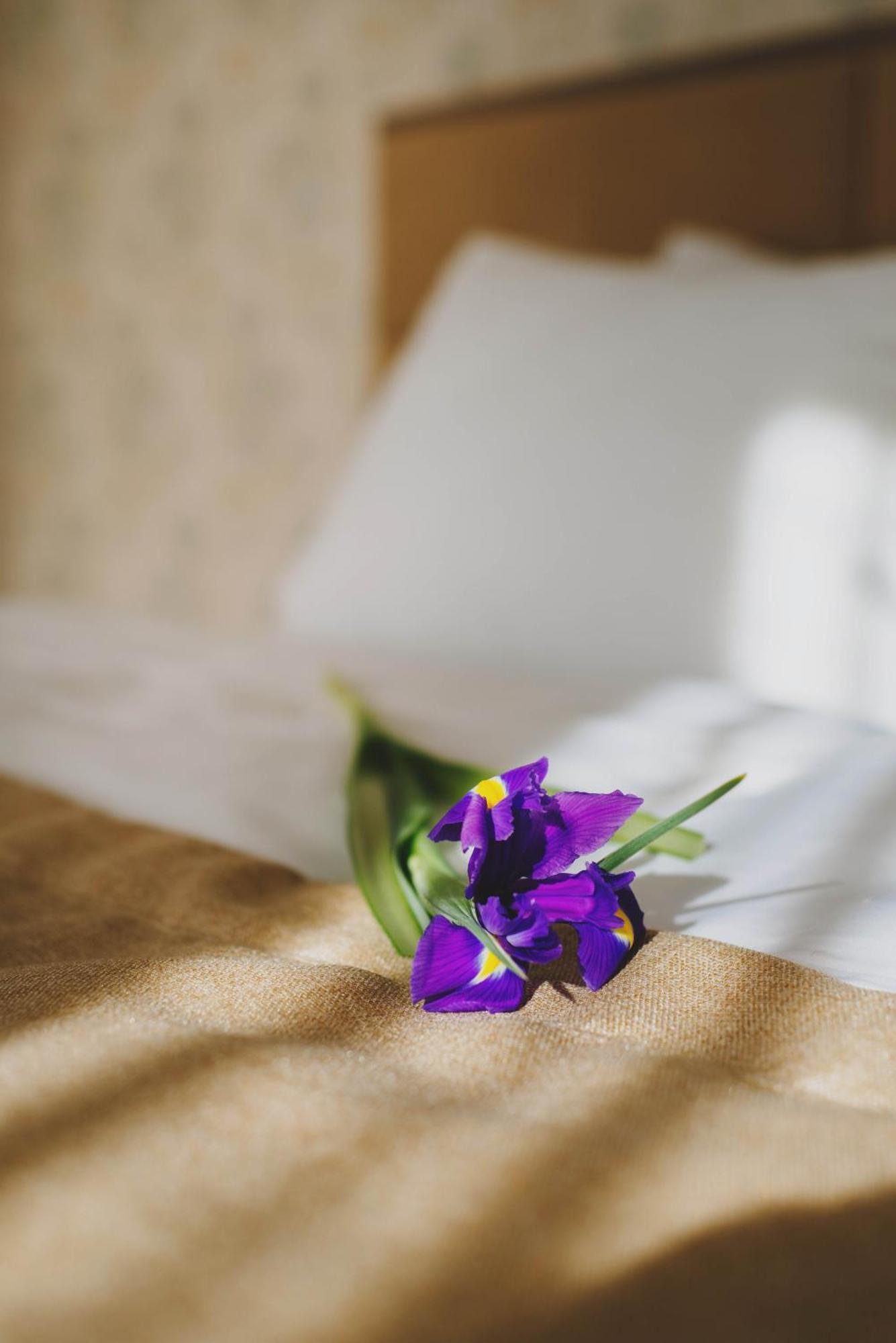 Hotel Alkor Trouskavets Chambre photo
